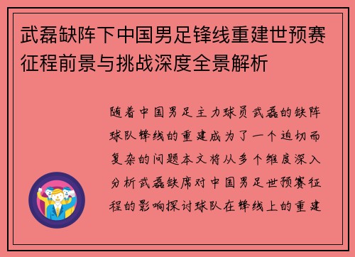 武磊缺阵下中国男足锋线重建世预赛征程前景与挑战深度全景解析